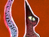 diseño. ilustración. gato. arlequín. 